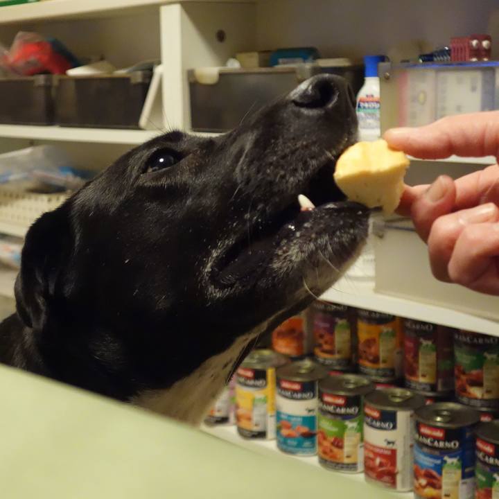 56780048 1023 44b4 92b4 111322e9792c 1615593983762