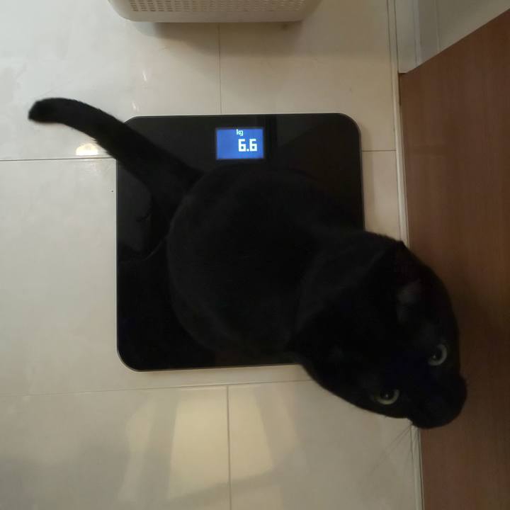 56782077 8a5a 4390 8084 bd42524a6682 1657839576919