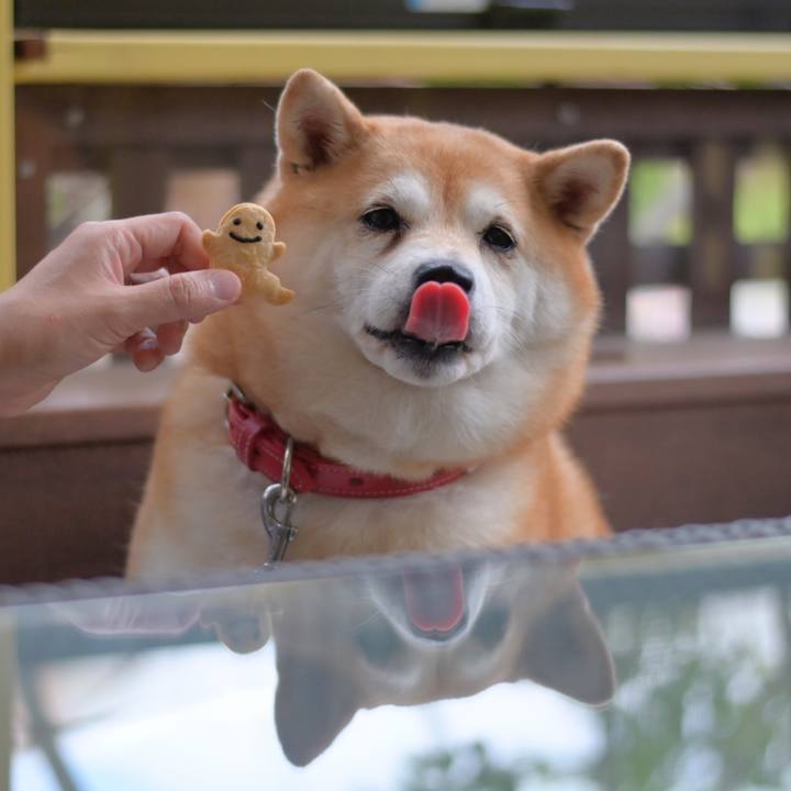 56782782 a7d5 47cf aadd 9230514ee389 1634388315267