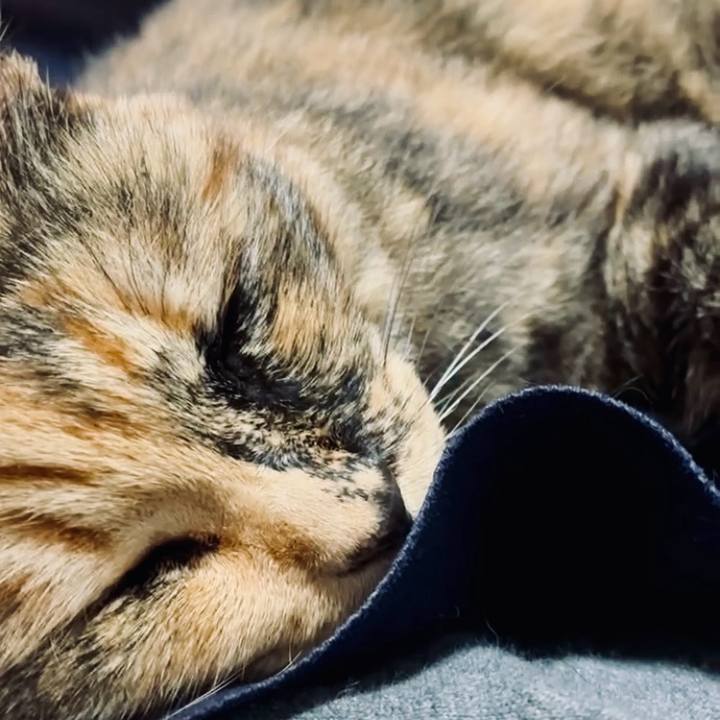 56782f76 dcaf 4e54 8946 3023202bf022 1750643109849