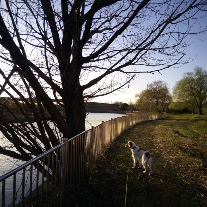 5678302b 0578 4547 9b29 e190ad3de405 1520326071951