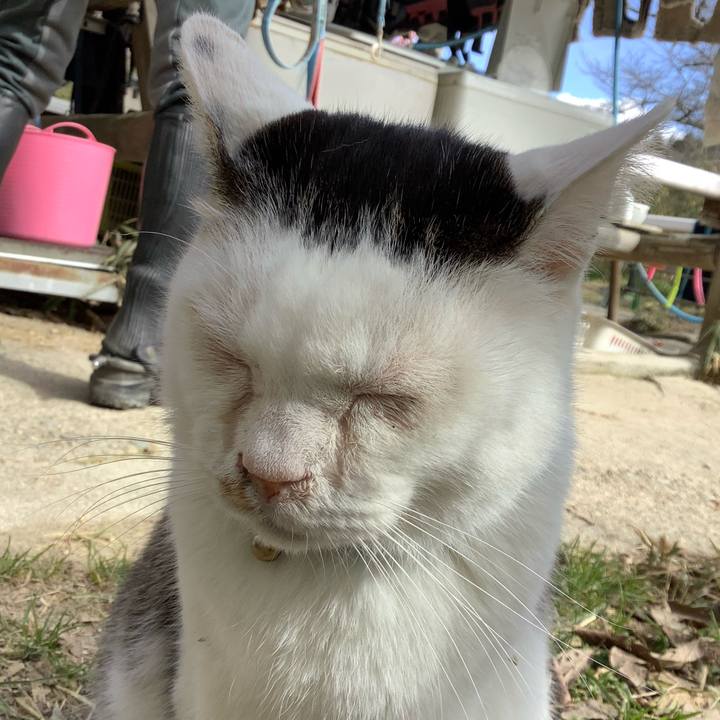 5678b025 86fb 4164 b77a 2455d437f49c 1613878762609