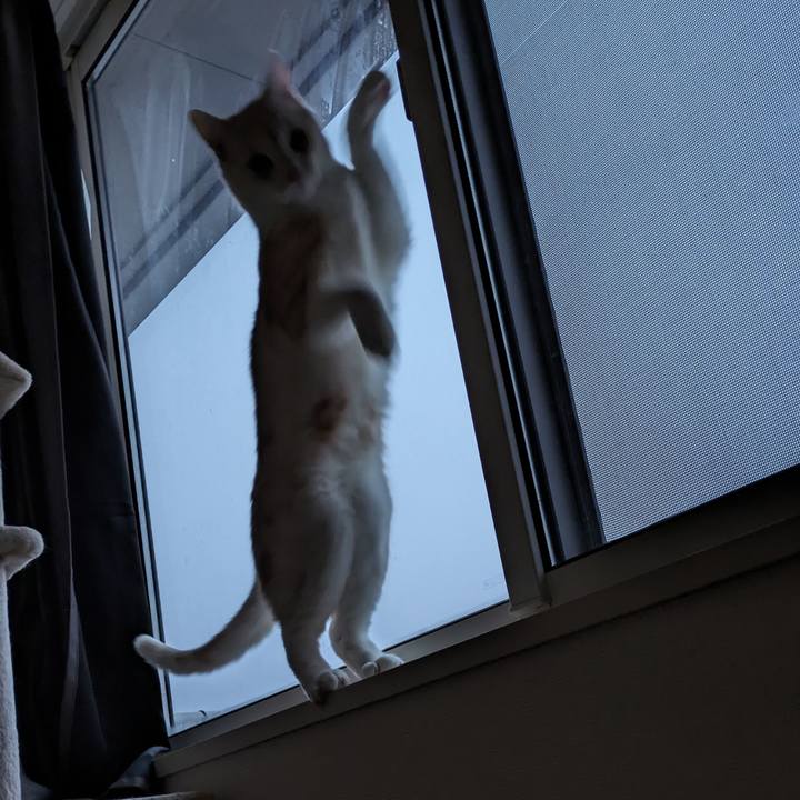 5678c6cd 4c81 46b6 be68 12d21a9e58c0 1706392188019