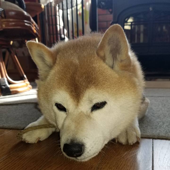 5678c976 17ca 4956 85f1 53610770cb1b 1678148113919