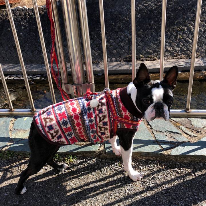 5678fc74 fd2f 46e7 8cc7 70470d706ef1 1515642153978