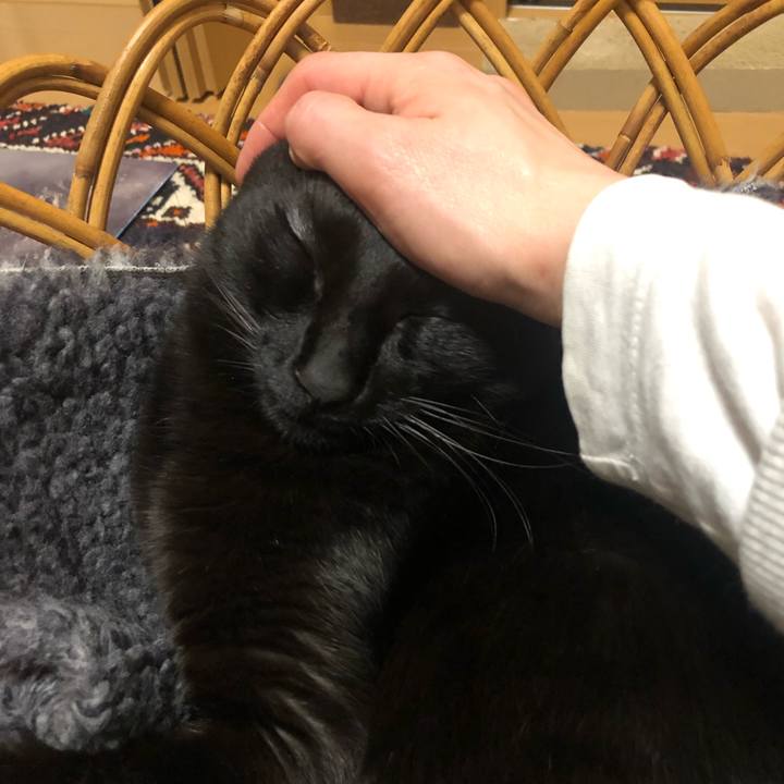 56790aff c5b1 470f 926e 8966516e0eb7 1582468531113