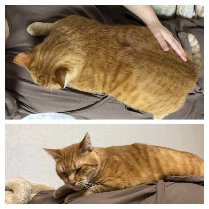 56791096 2c6c 431d 8398 c0f8637e50d8 1604402161610