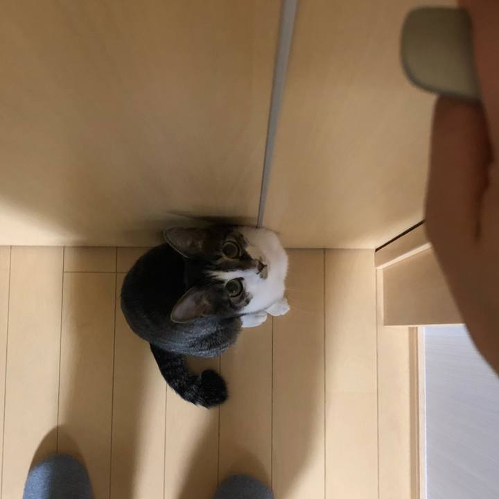 5679351e d83d 46e3 bffd f2c01e95b2f7 1557715900163