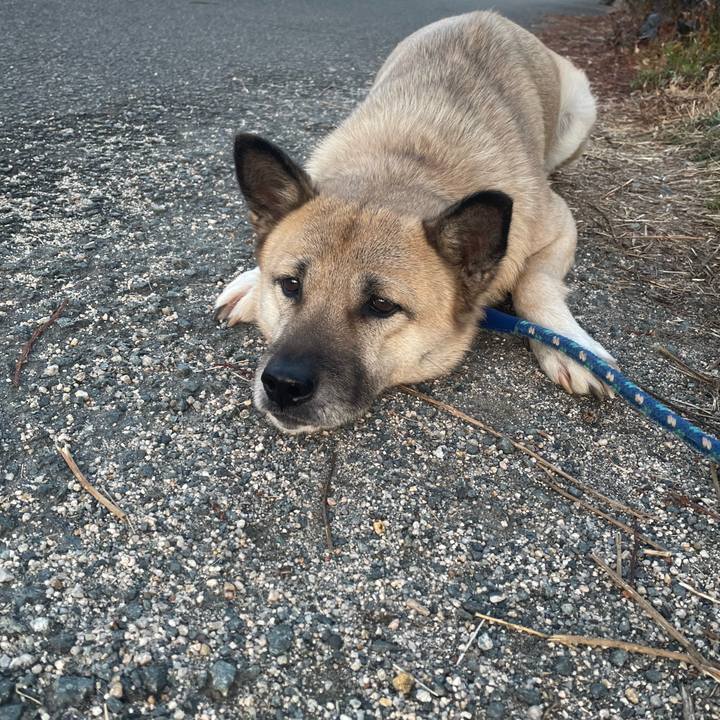 567974dd d889 46bf 8d63 2bea9b7a8a3a 1645010247613