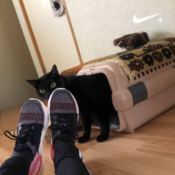 56797d16 f551 4f71 9841 499569761cca 1587605496793