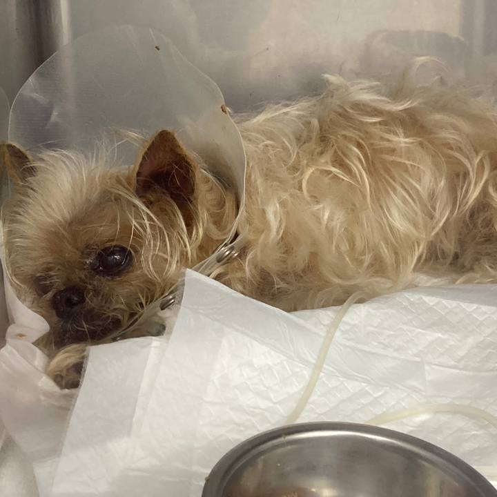 56798115 22a4 458f 964b 528114fd5ad8 1622689560562