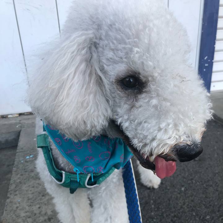 5679bd96 d7ac 48dd a1ce 3c1c2944cc45 1688704142995