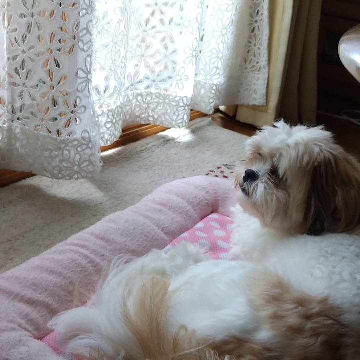 5679c7e4 7e04 4eea 8dc6 e211f294fb06 1594699760246