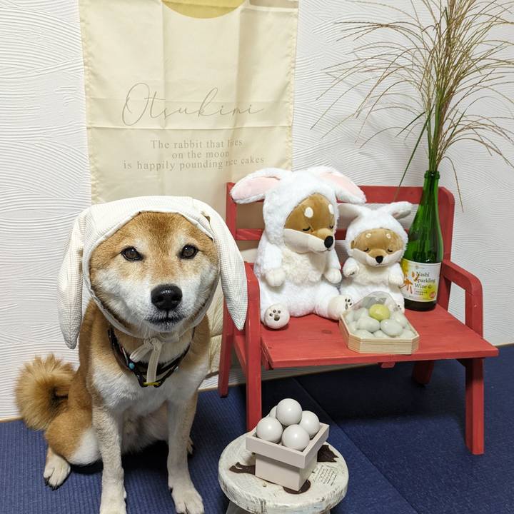 5679d018 4960 4e6e b529 28d6573aaaed 1695981948609