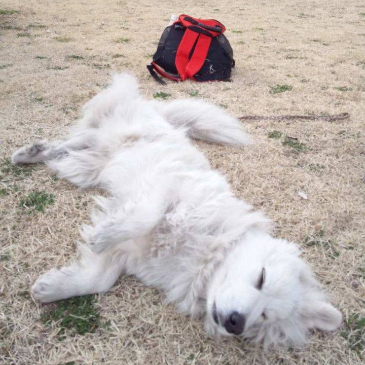 5679fb4f 19e6 486d a001 5c6f1b452a0f 1678835887057