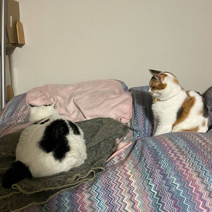 567a15e7 3d20 46f8 a8f3 15b10aed7640 1639831924752