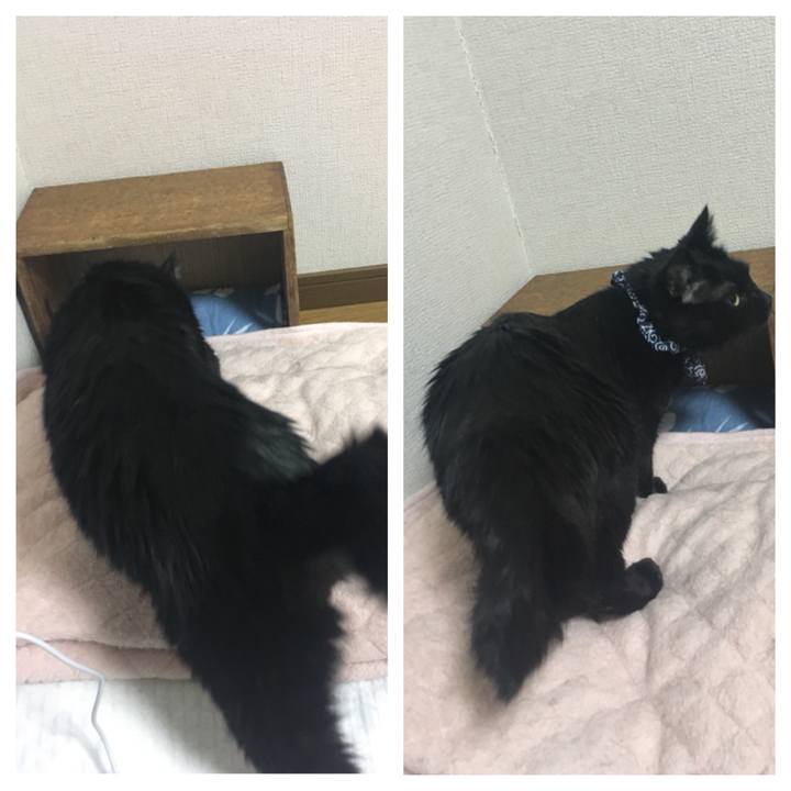 567a3aff cde9 445f b7a6 50a27e1aefa0 1551191928591