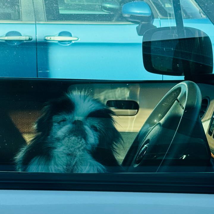 567a5071 7205 4477 a5b0 764c6a5c8c3f 1765937545009