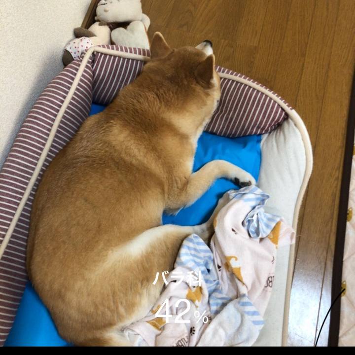 567a5854 5c53 48f9 a22a 87584ecb18e4 1589420663305