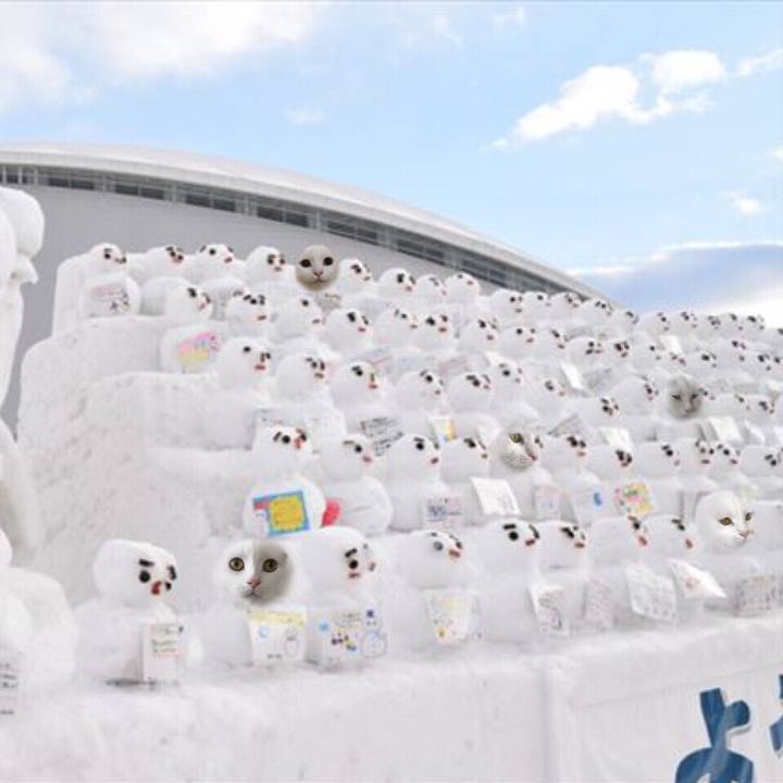 567a776f f6cf 4d92 a10e c4b3e3054334 1547382377274