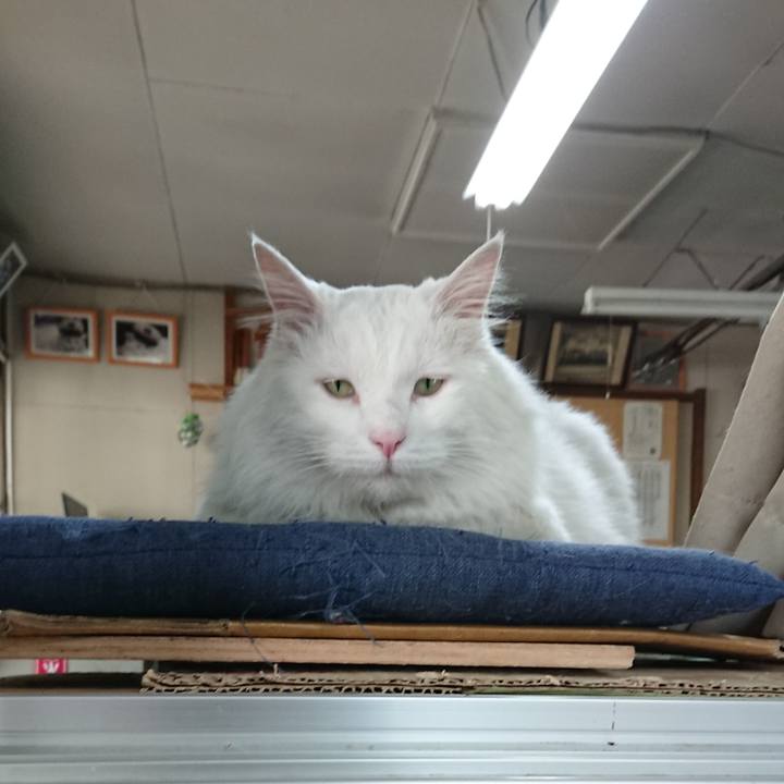 567a9359 a278 423d a501 aaf142cc81b2 1530224563749