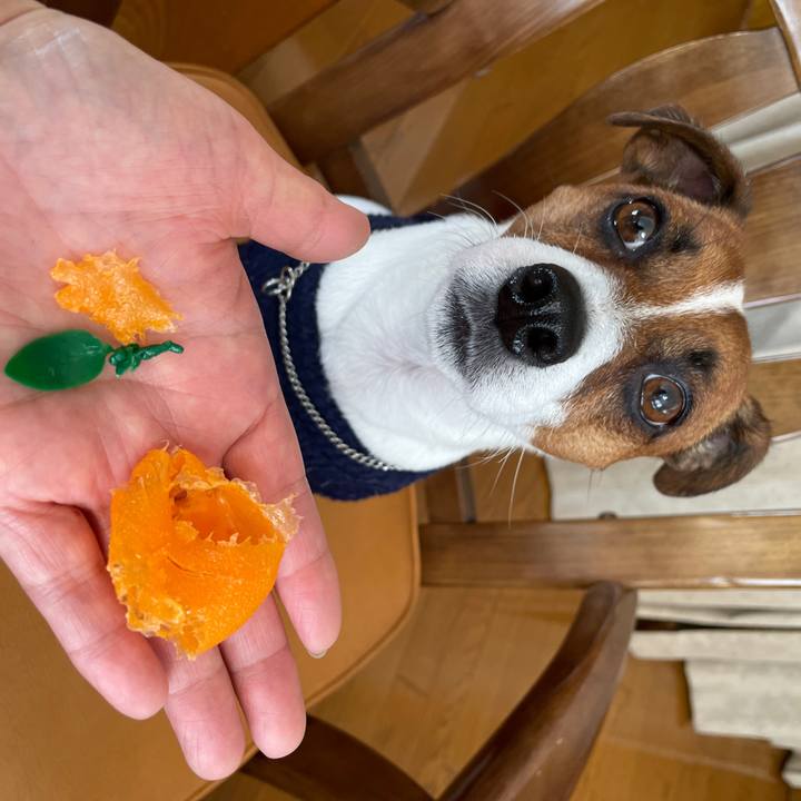 567acffa ab28 4daf a8c8 af6f171d72a7 1641693831639