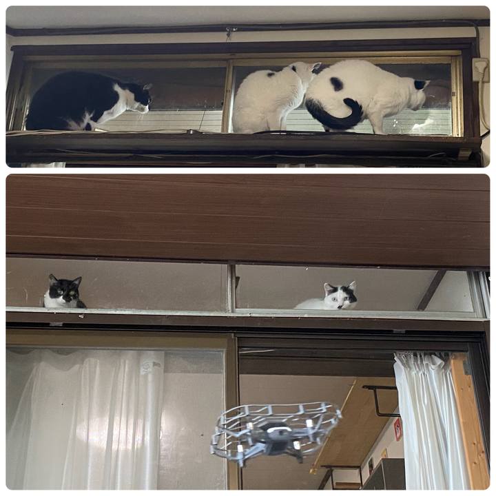 567af14a 8c52 4687 9680 88b5ba8a1e77 1705849503511