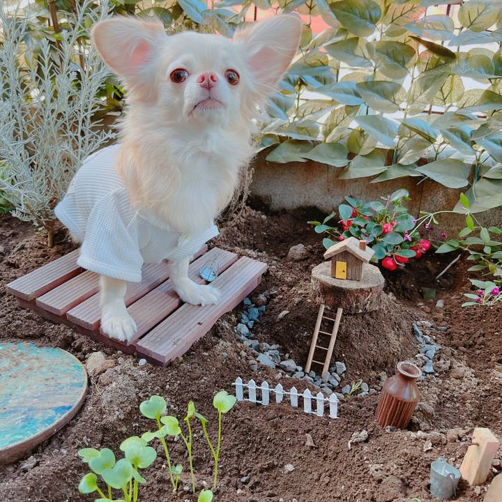 567b34bd 9ff6 4311 9037 d3b508607625 1667016343661