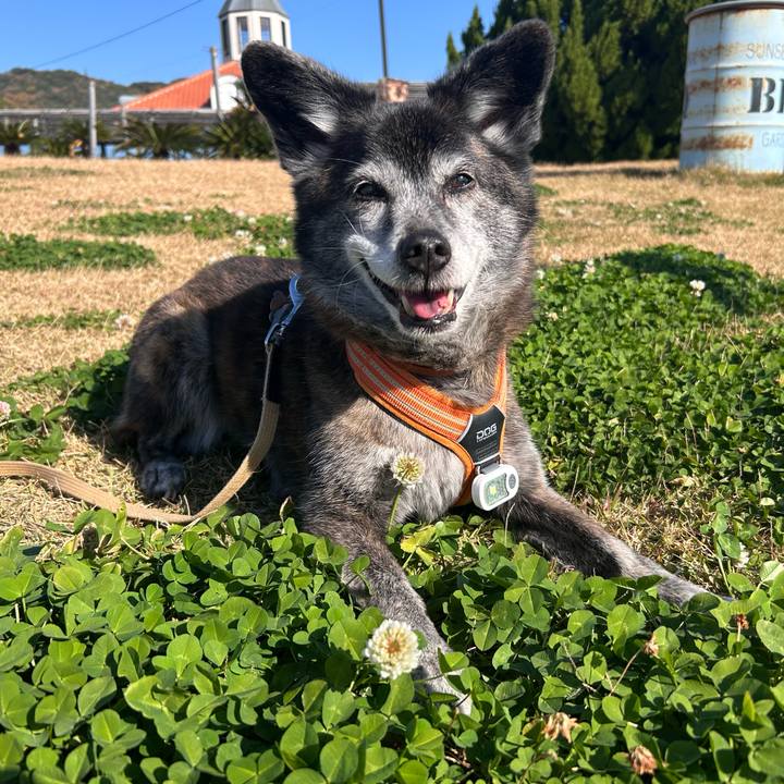 567b3cc6 22fa 425b aa90 66fa39f9b8a5 1770350773142