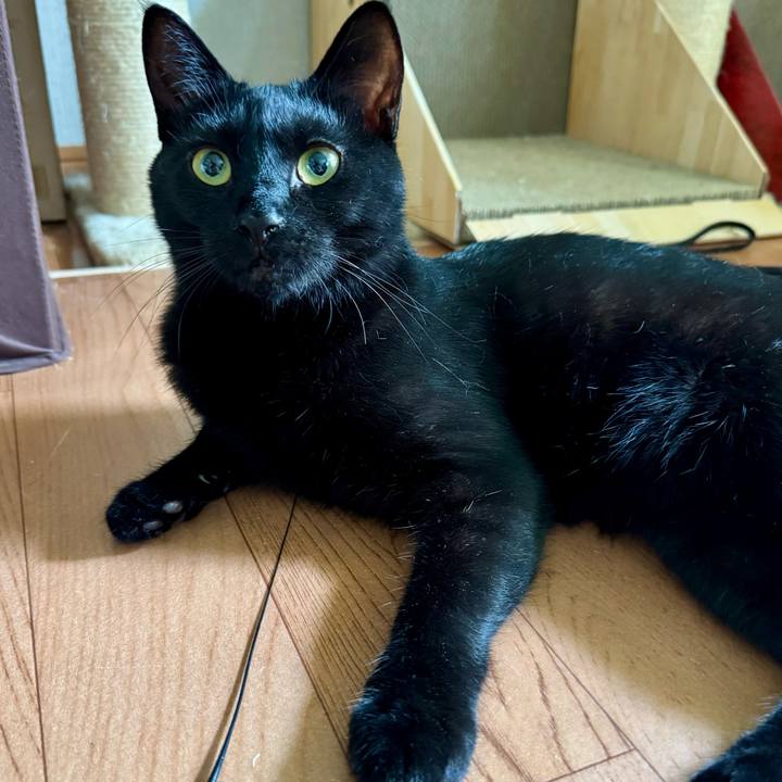 567b5f1b e367 4d78 9407 364175b7fb01 1752645334008