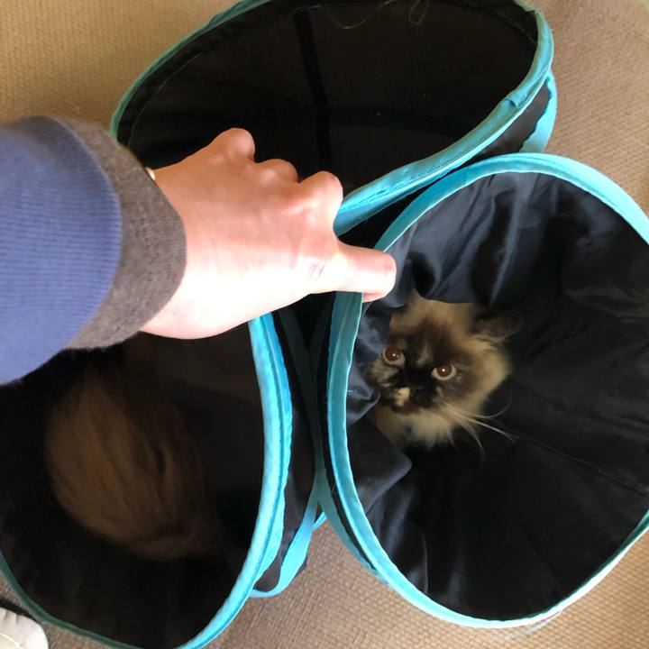 567b6927 089c 472c 9dc9 4839637dcb15 1646543465953