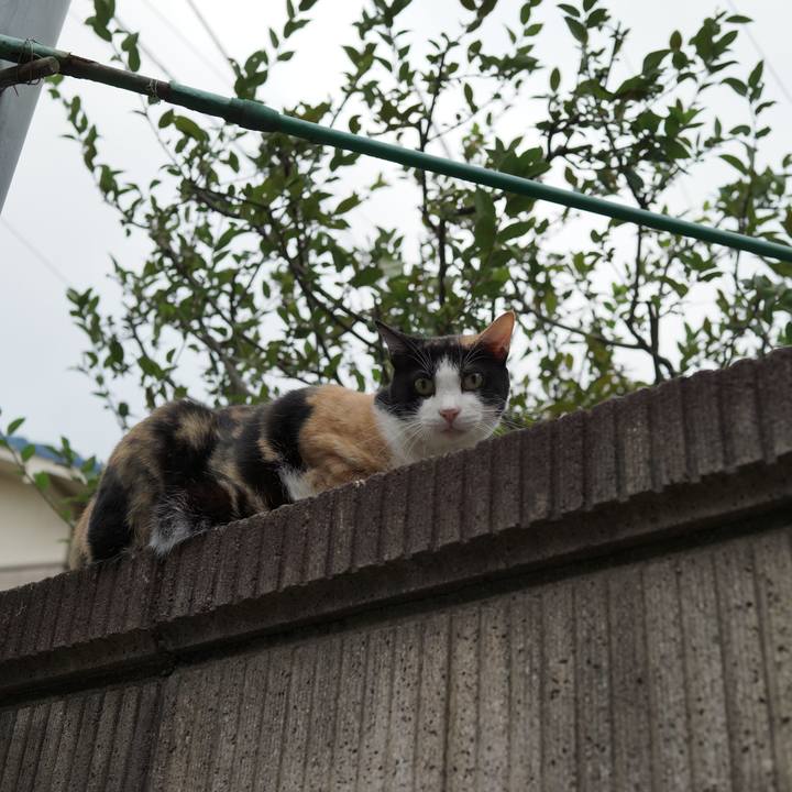 567b7fa6 8213 41a8 952c 029f23084577 1536743281248