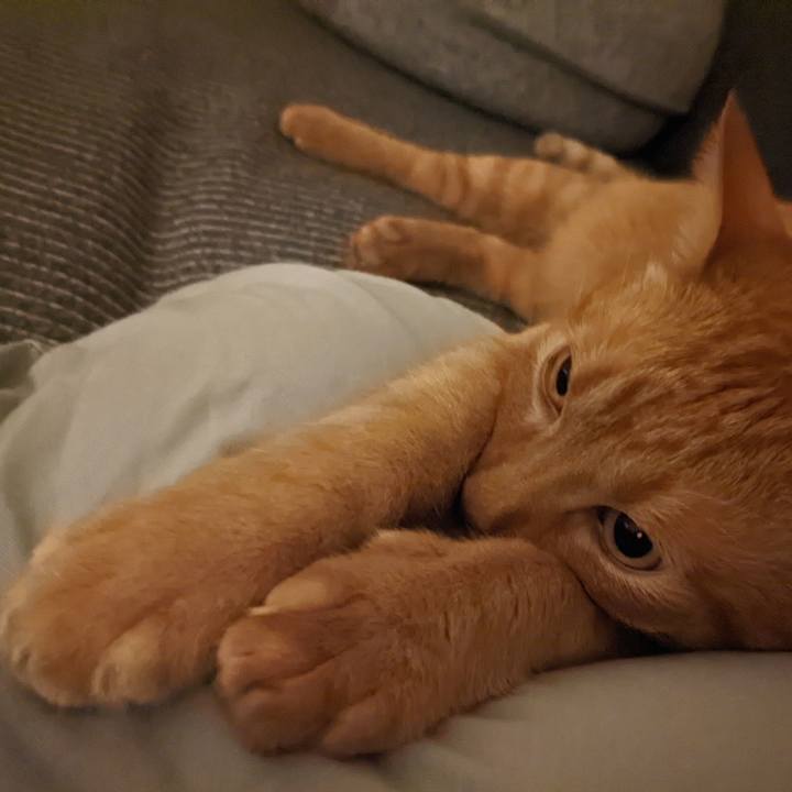 567b85e3 821e 48f9 b45e 5b5667fb8544 1654782086135