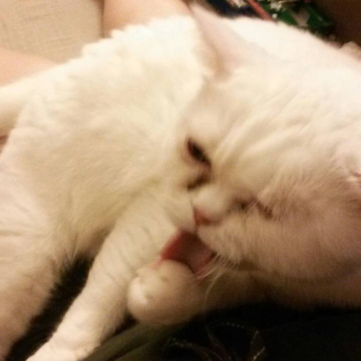 567c1c57 eaea 4387 ab76 555b73e7c59f 1509869908288