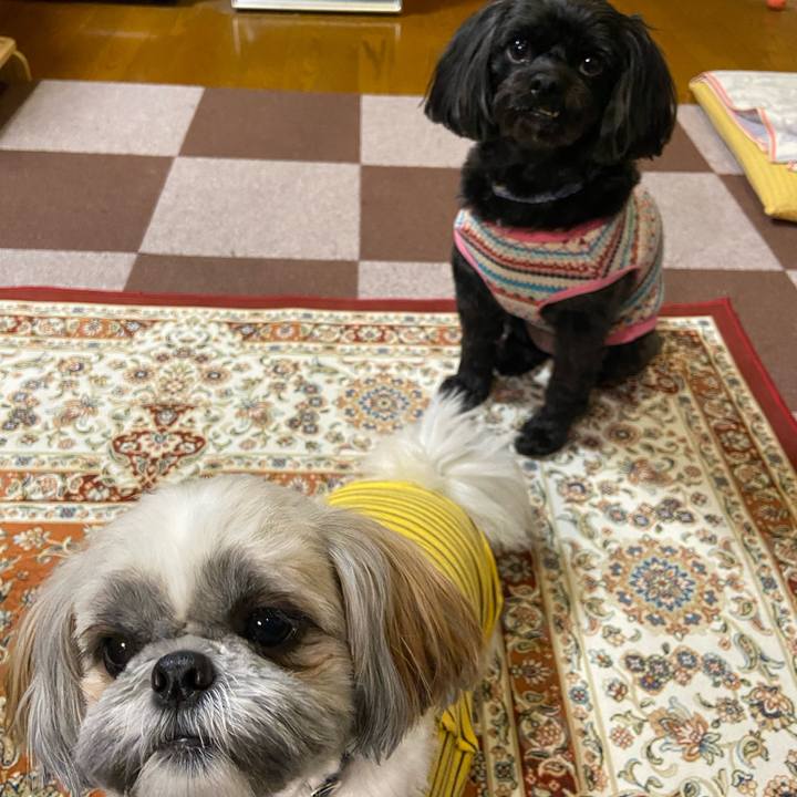 567c1ebc b3e8 4126 a35e ad542be03da2 1673366505545