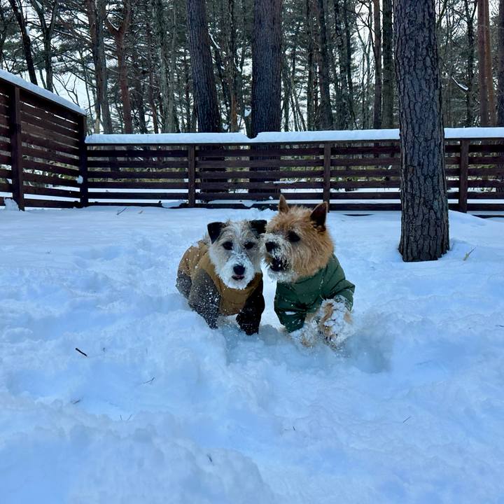 567c20e9 0a0d 49ea b389 272fd0d30c22 1738332757867