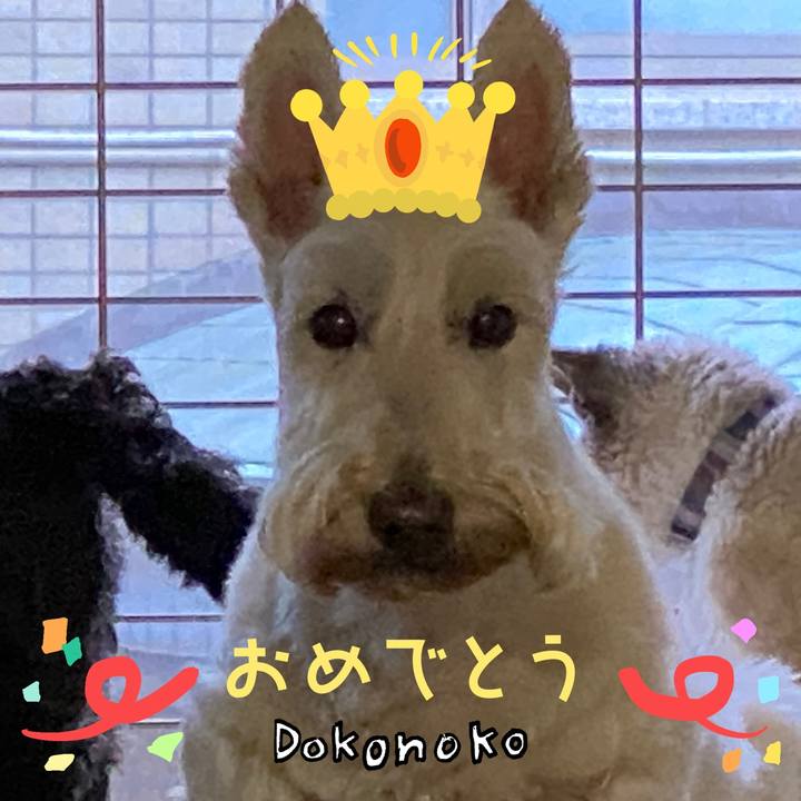 567c63f2 618a 479b ba82 93f1dbd1d9f6 1686013092034