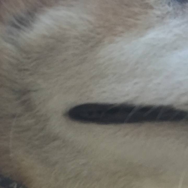 567c701c db5a 4944 94c4 3b8b2f42b4c7 1627033898351