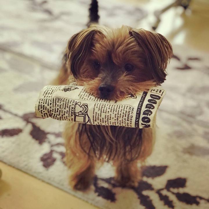 567c743d 69df 4e35 84a3 ab36cc1223dc 1520289746705