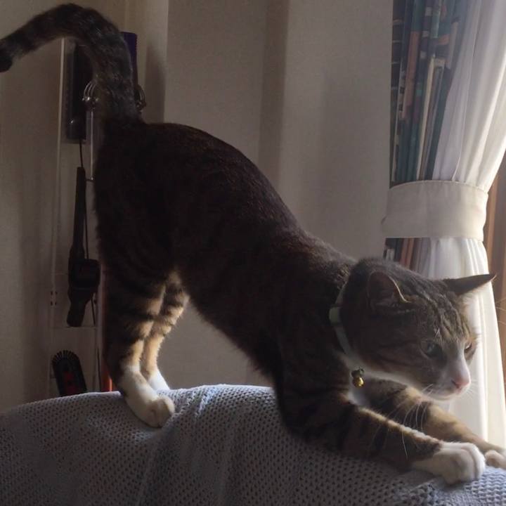 567cac3d 8255 43ba 8b20 a4a8927e9f45 1697147472256