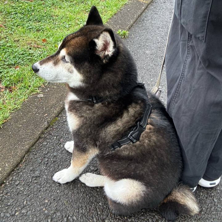 567cb302 dcb8 41b3 bd94 af88aa645024 1749604958196