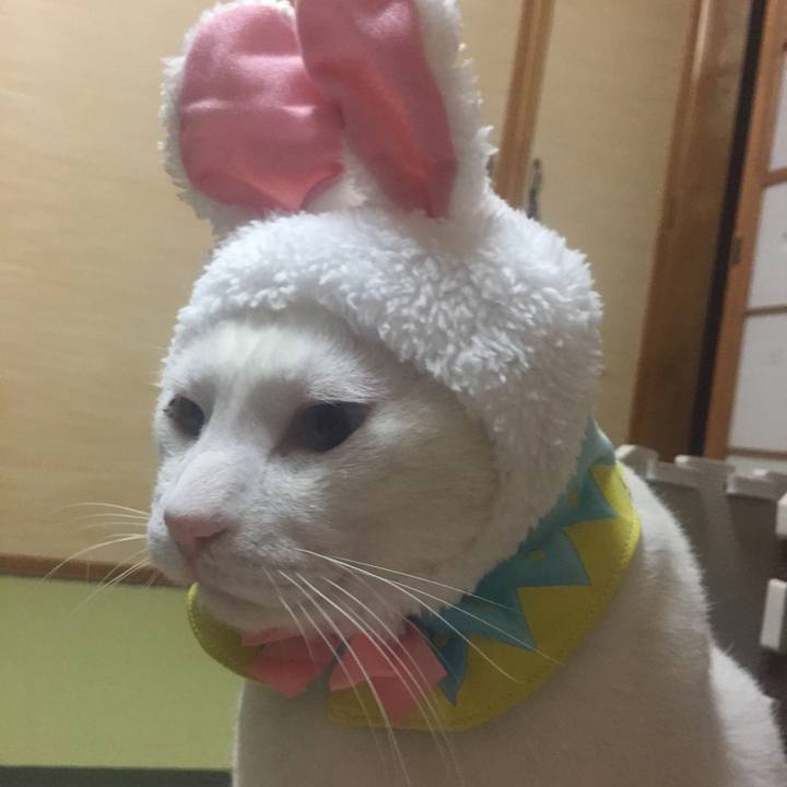 567cb91e d540 441d 9367 3a8a820fdd06 1523633720064