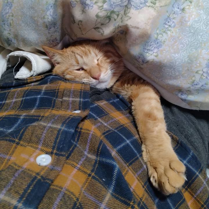 567ccb50 388f 47f1 a1c4 8f54a0c04b7a 1713431519678