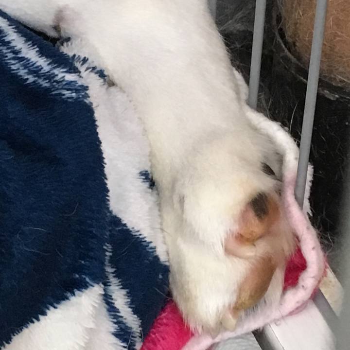 567ccc1f 00d2 46c0 b398 933ca7da8e6a 1561694192259