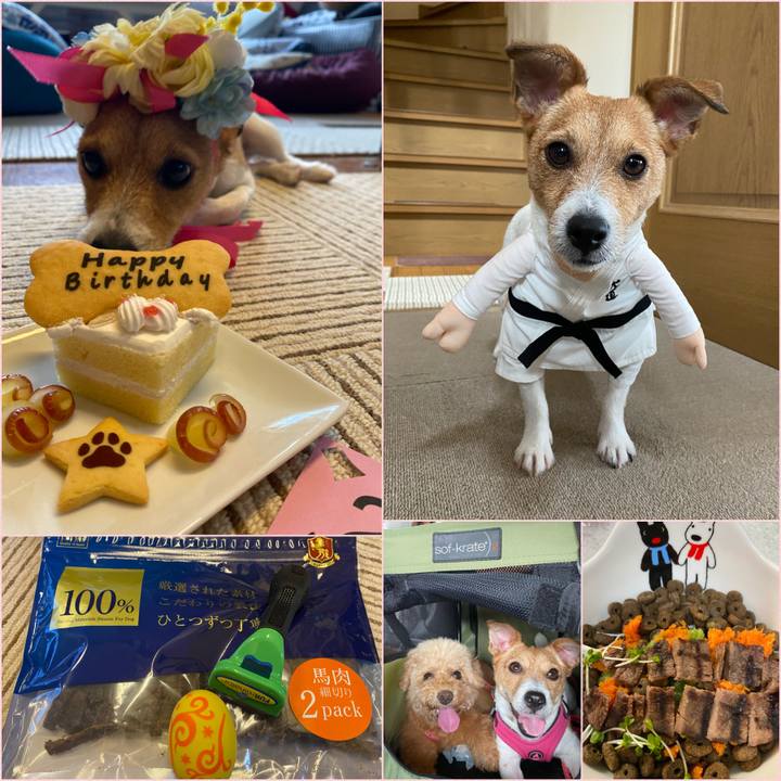 567ce110 f1c0 4f6d a927 cdb873027900 1599988828347