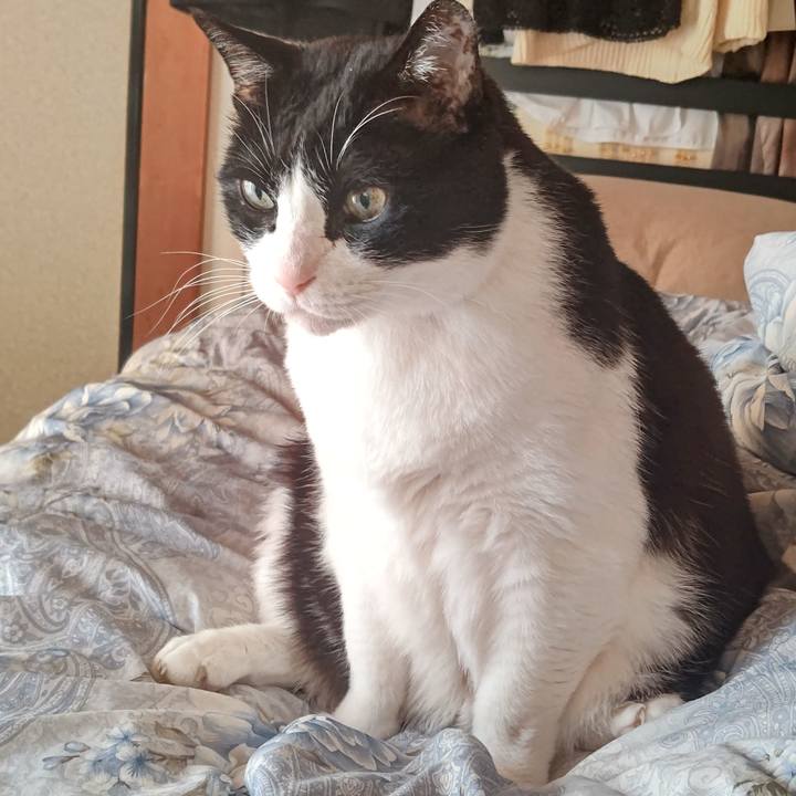 567ceee2 c774 4a60 8867 46c54681dffb 1644902705829