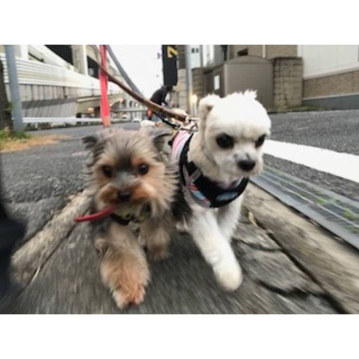 567cfea3 5c02 4322 b995 4db059f00b82 1575978464652