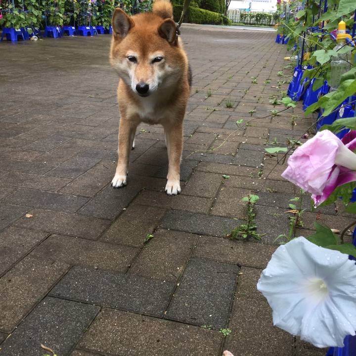 567d1e09 e28d 4af9 847f c3cf5fdc6979 1561866194367