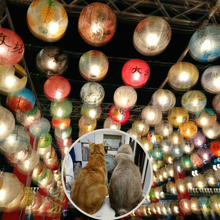 567d3bd8 80c0 485e 9315 7cbad5d2b850 1522795949565