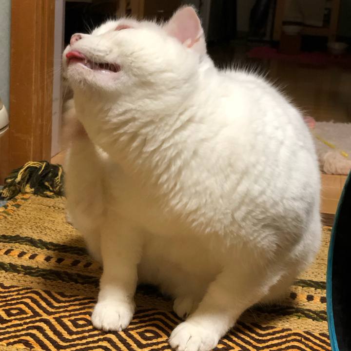 567d4124 fd5d 485f b978 7caac6ef6710 1562724287541